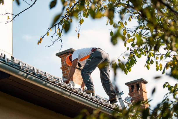 Best Gutter Installation and Roofing  in Woodland Heights, PA